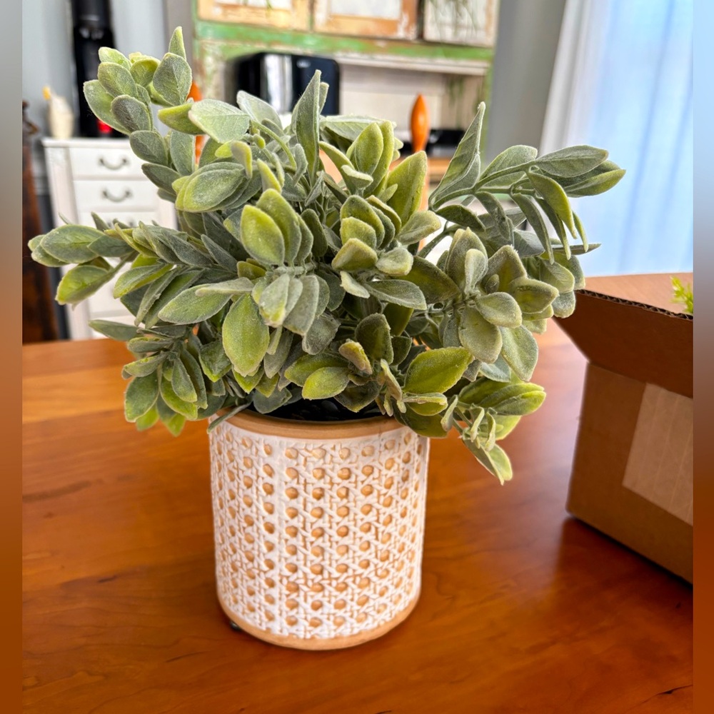 Fake fuzzy plant